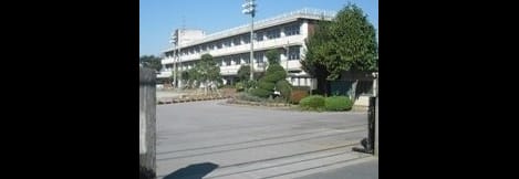 Naikan15 20250603000000
