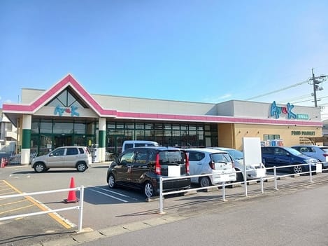 Naikan13 20260225000000