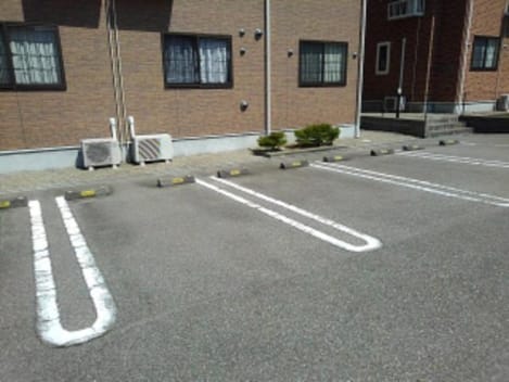 Naikan11 20250131000000