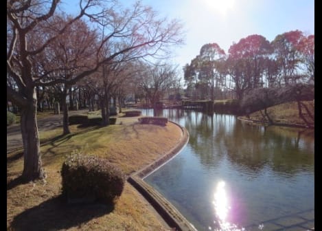 Naikan18 20201023000000