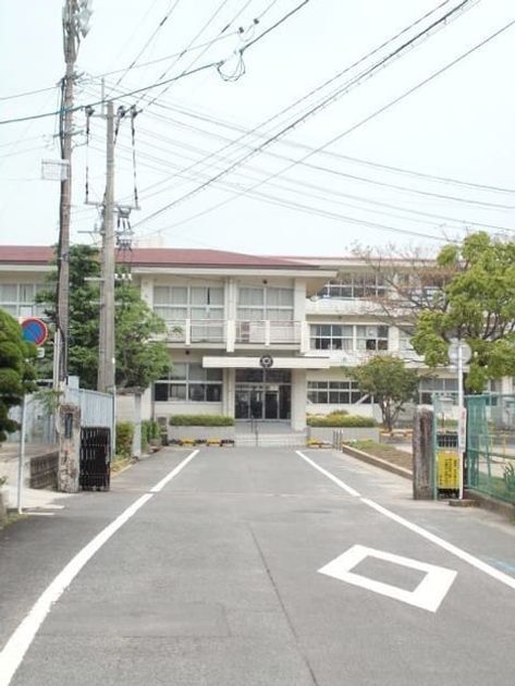 Naikan17 20210519000000 945x630