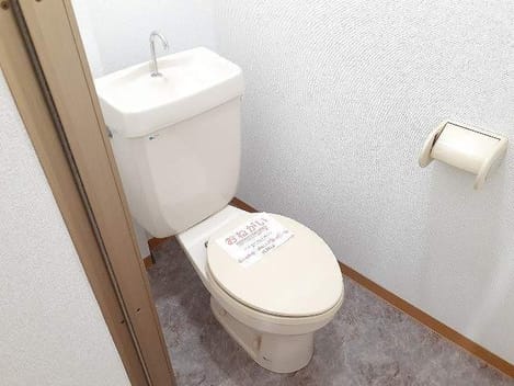 Naikan12 20220202000000
