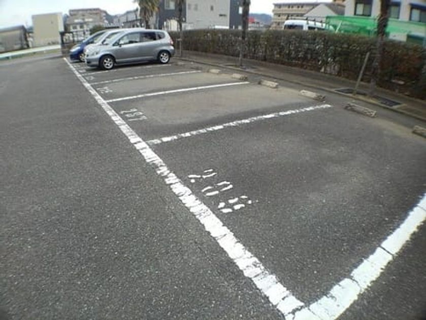 Naikan11 20210205000000 945x630