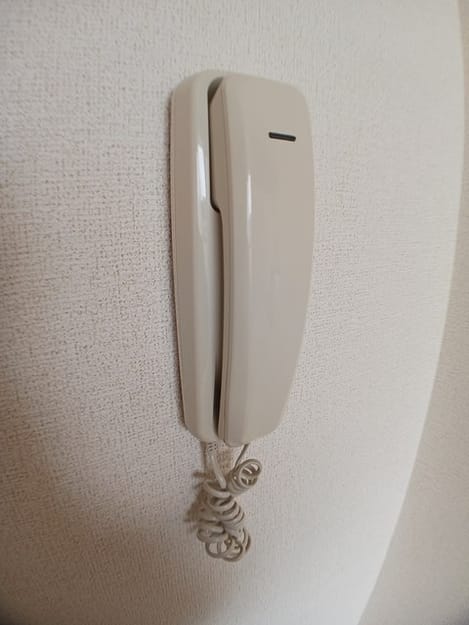 Naikan12 20250210000000