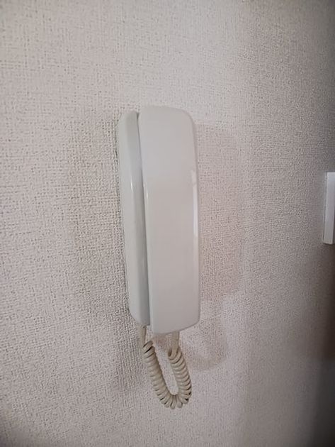 Naikan7 20260616000000 945x630