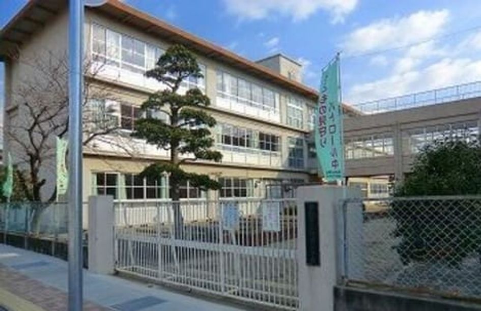 Naikan18 20250307000000 945x630