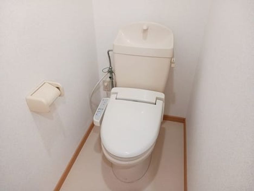 Naikan12 20250131000000 945x630