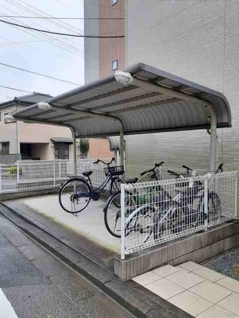 Naikan11 20241119000000