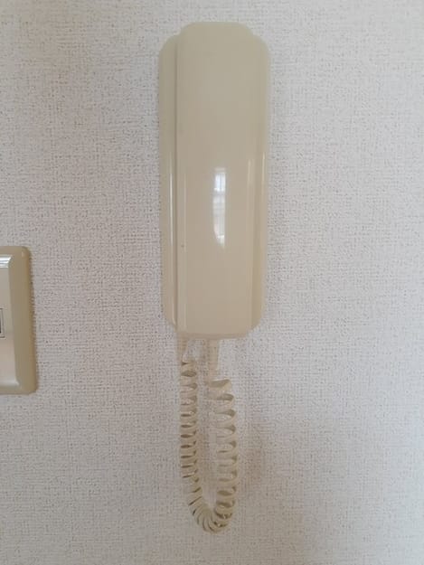 Naikan10 20241029000000