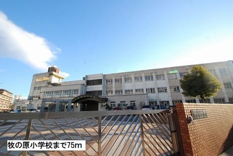 Naikan17 20170709000000