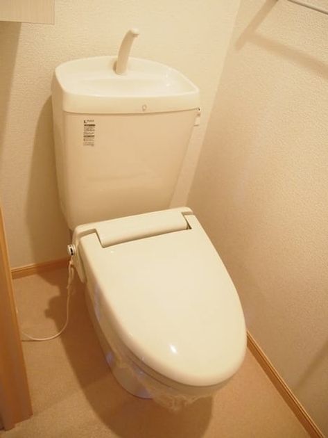 Naikan8 20220205000000 945x630