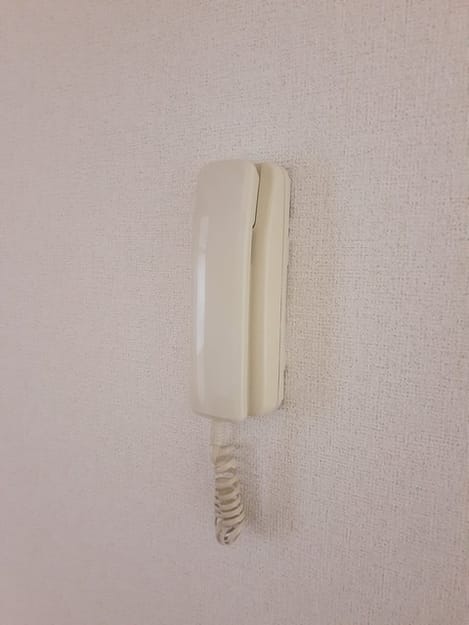 Naikan12 20230119000000