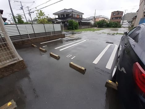 Naikan11 20230602000000