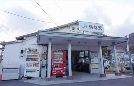 Naikan13 20240624000000