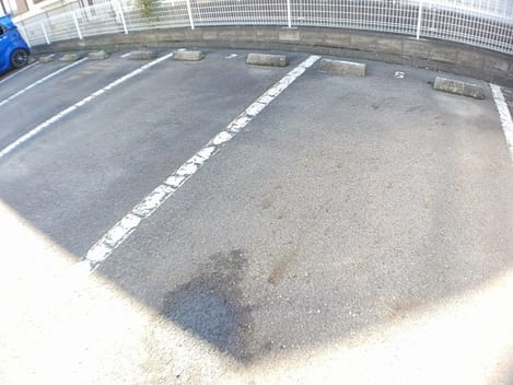 Naikan9 20241119000000