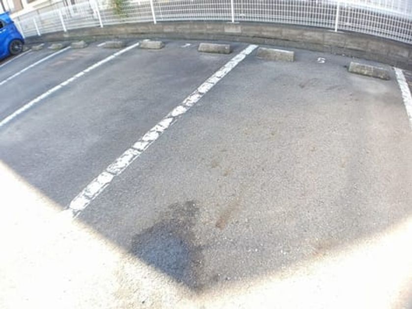Naikan9 20241119000000 945x630