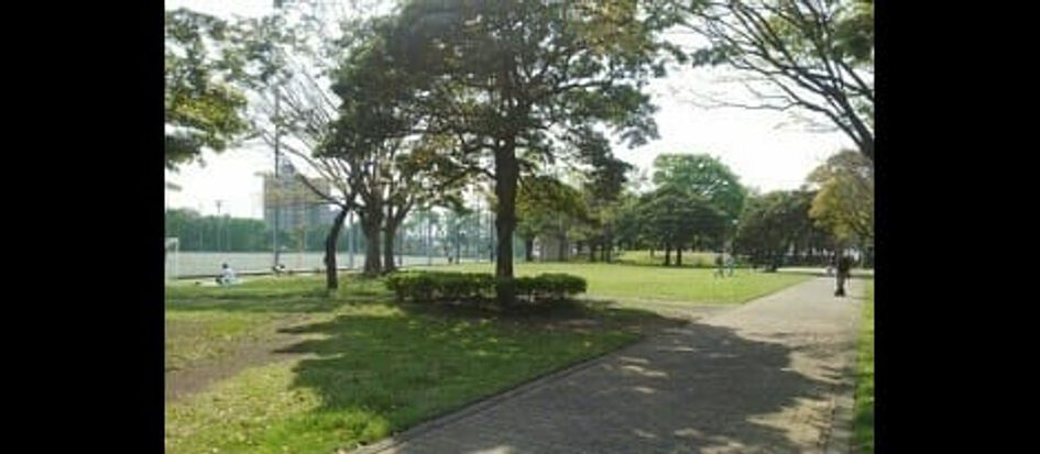 Naikan18 20200311000000 945x630