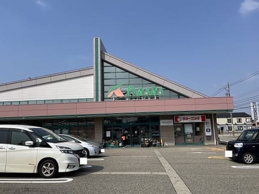 Naikan13 20250411000000 945x630