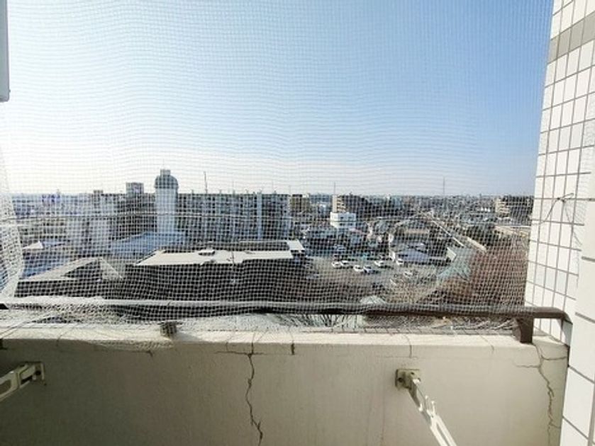 Naikan10 20250131104856 945x630