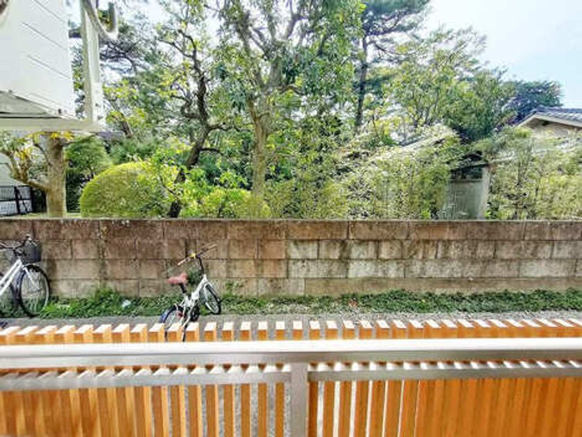 Naikan15 20250424041948 945x630