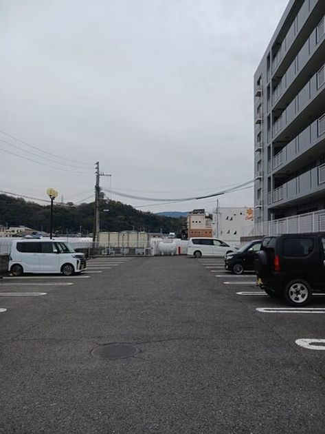Naikan11 20250401000000 945x630