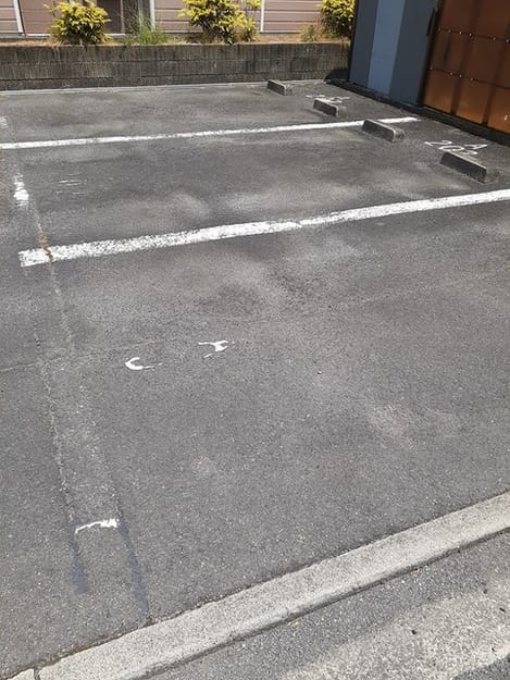 Naikan11 20230803000000