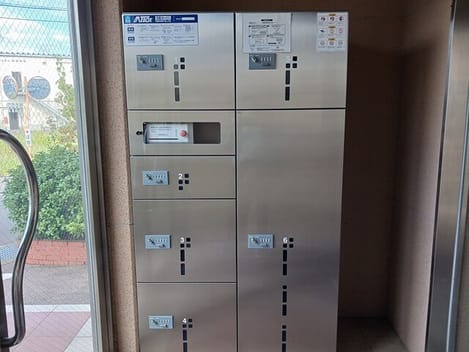 Naikan11 20250919000000