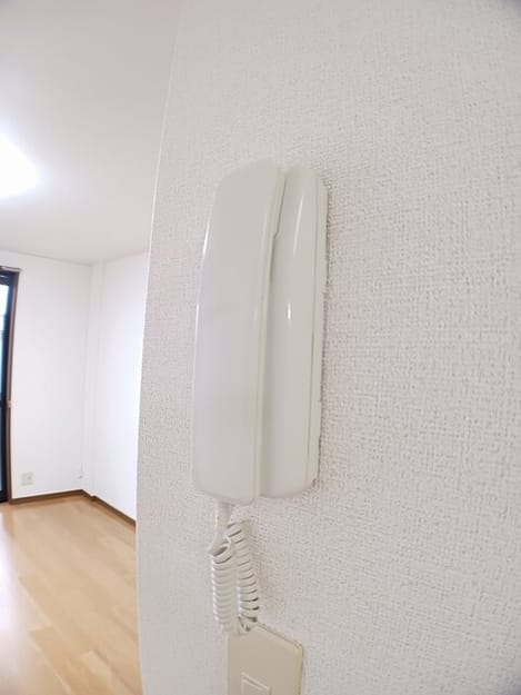 Naikan8 20250509000000