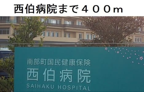 Naikan13 20250403000000