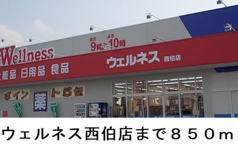 Naikan14 20250403000000