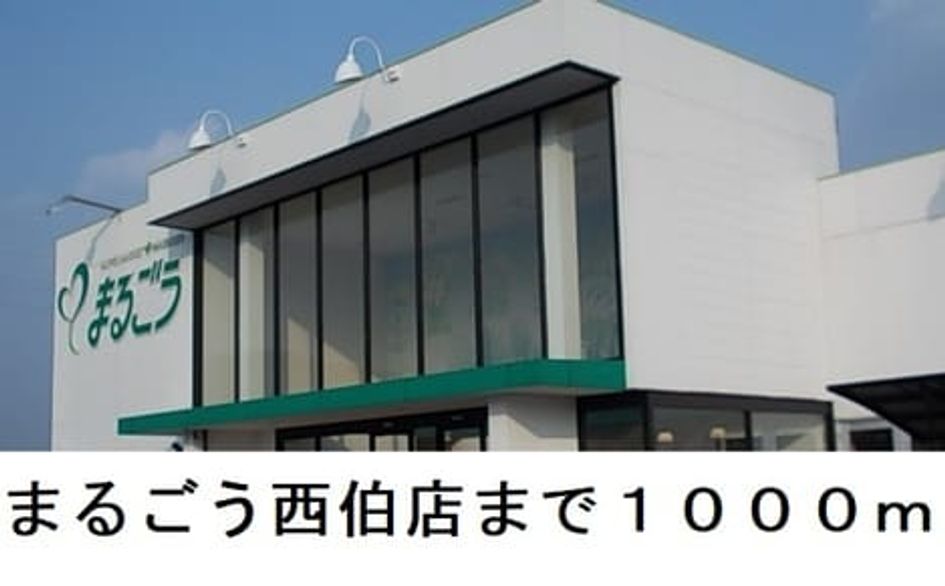 Naikan16 20250403000000 945x630