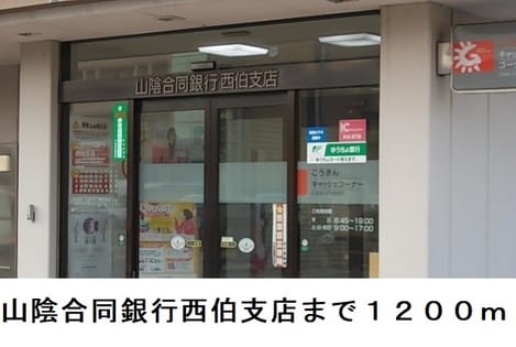 Naikan17 20250403000000