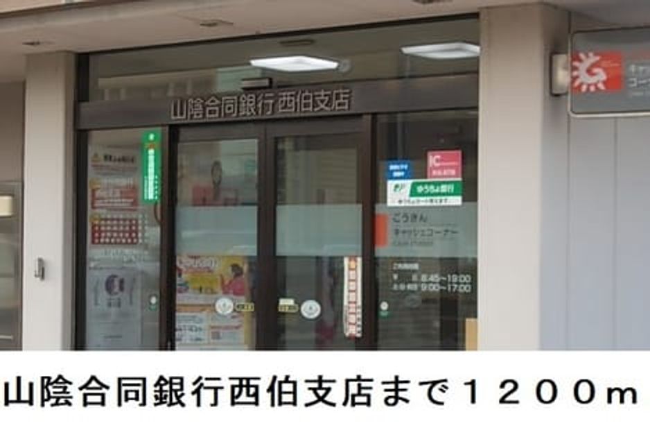 Naikan17 20250403000000 945x630