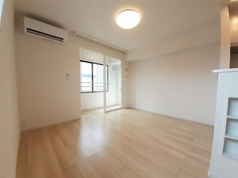 Naikan1 20260203000000
