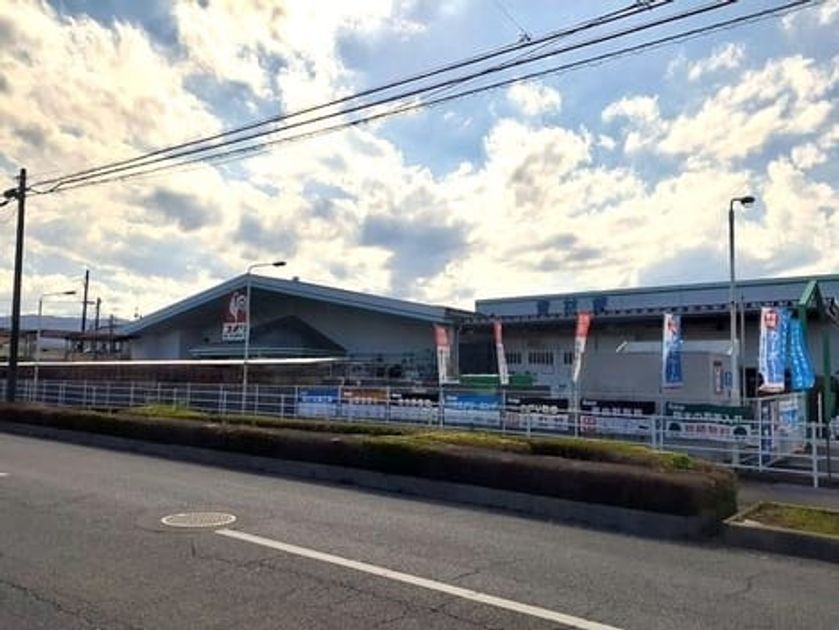 Naikan13 20250402000000 945x630