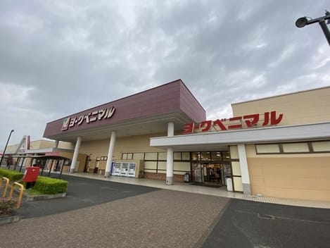 Naikan16 20260109000000