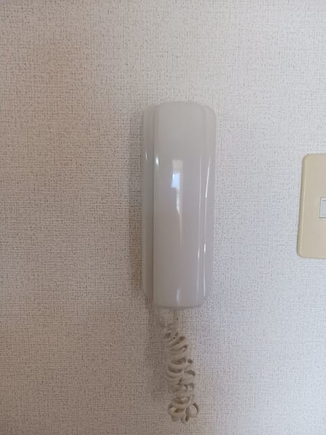 Naikan12 20250919000000