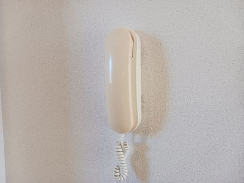 Naikan9 20241217000000 945x630