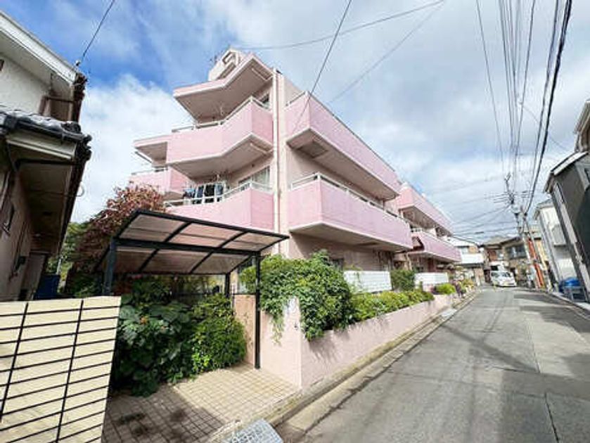 Naikan17 20251113043439 945x630