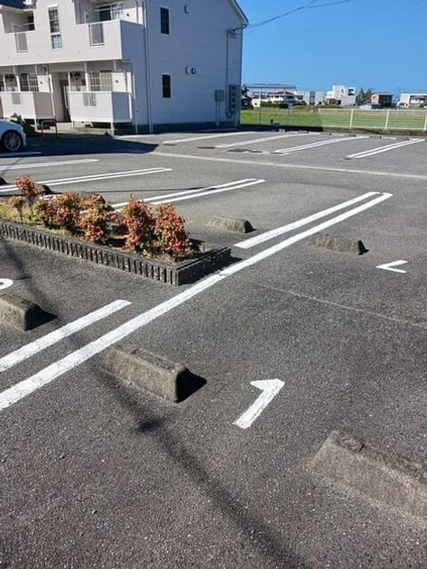 Naikan11 20251009000000 945x630