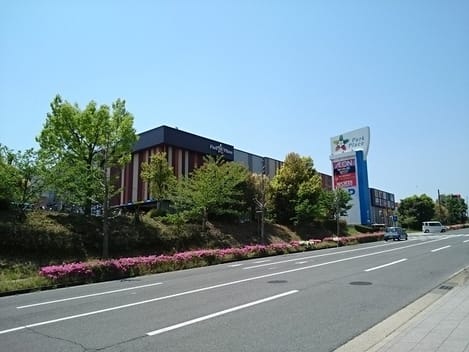 Naikan13 20250714000000