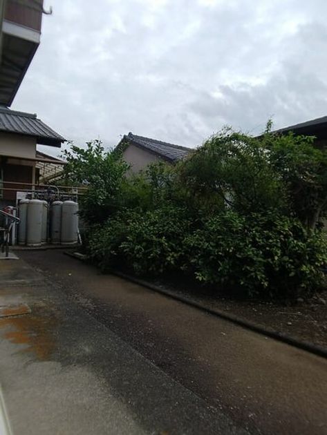 Naikan12 20251111000000 945x630