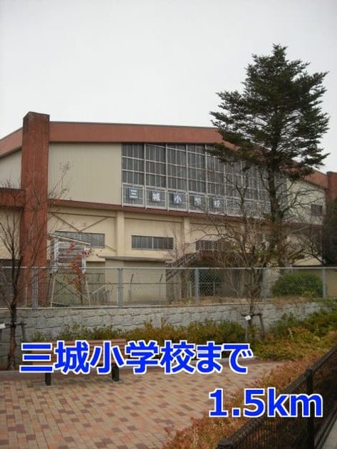 Naikan17 20140321000000 945x630