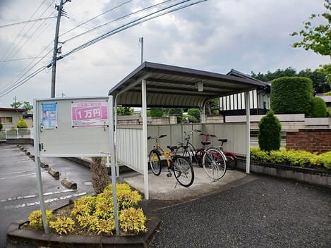 Naikan11 20260612000000