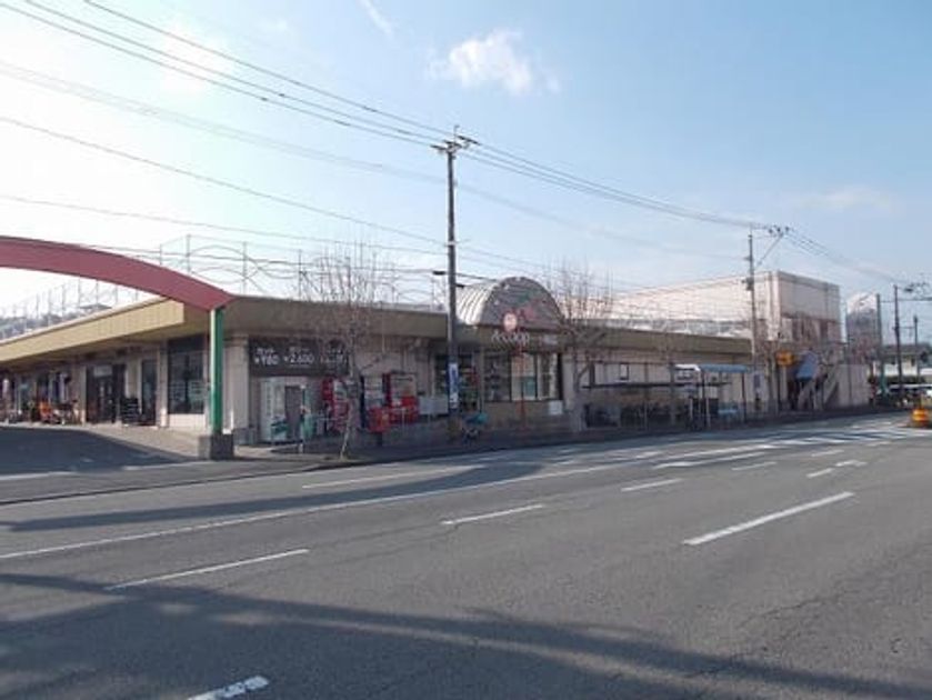 Naikan17 20210604000000 945x630