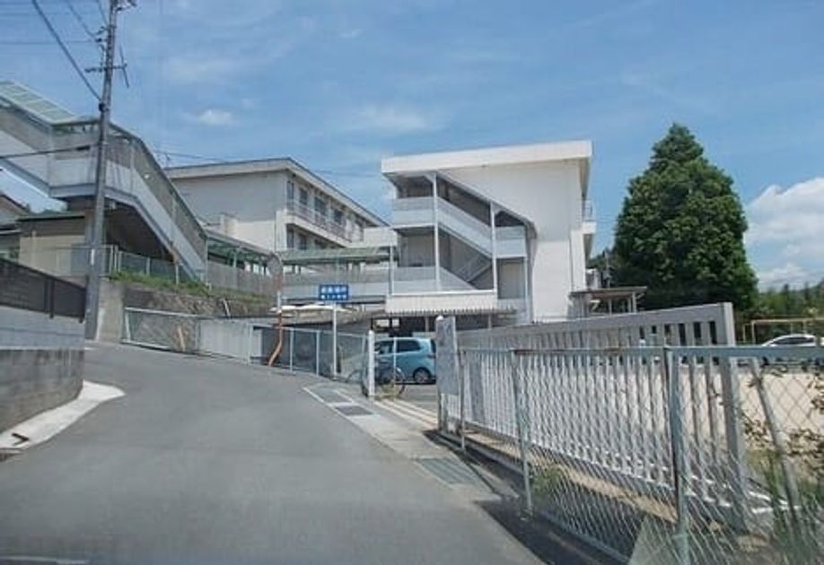 Naikan14 20250604000000 945x630