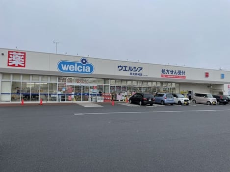 Naikan13 20231104000000