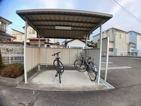 Naikan11 20260119000000