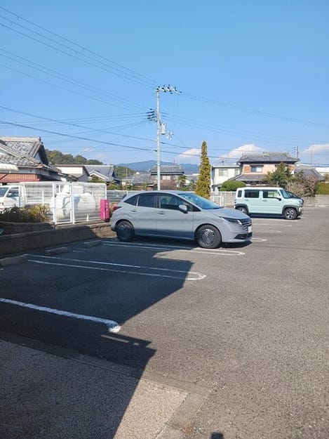 Naikan11 20260202000000