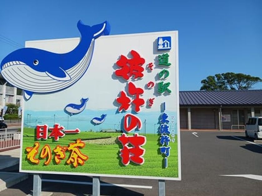 Naikan16 20251202000000 945x630